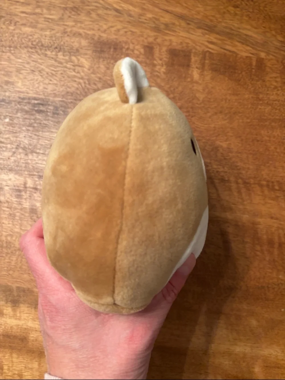 Squishmallows Brown and White Bear Plush
